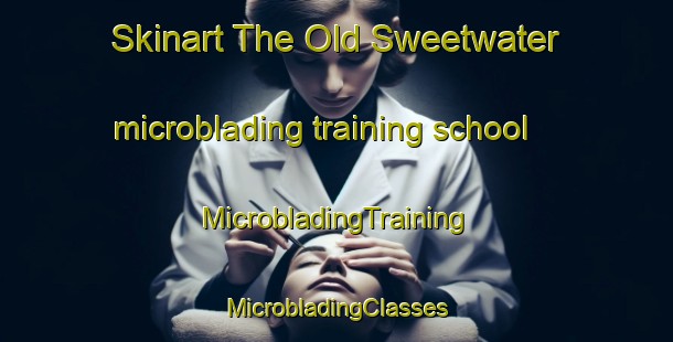 Skinart The Old Sweetwater microblading training school | #MicrobladingTraining #MicrobladingClasses #SkinartTraining-United States