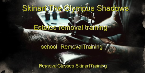 Skinart The Olympus Shadows Estates removal training school | #RemovalTraining #RemovalClasses #SkinartTraining-United States