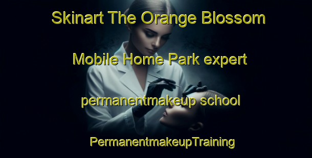 Skinart The Orange Blossom Mobile Home Park expert permanentmakeup school | #PermanentmakeupTraining #PermanentmakeupClasses #SkinartTraining-United States