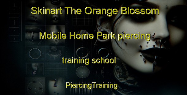 Skinart The Orange Blossom Mobile Home Park piercing training school | #PiercingTraining #PiercingClasses #SkinartTraining-United States