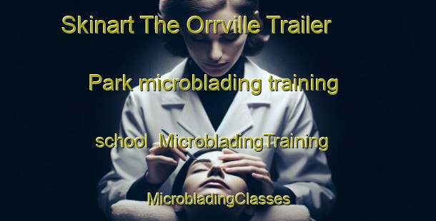 Skinart The Orrville Trailer Park microblading training school | #MicrobladingTraining #MicrobladingClasses #SkinartTraining-United States