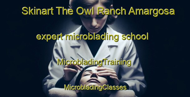 Skinart The Owl Ranch Amargosa expert microblading school | #MicrobladingTraining #MicrobladingClasses #SkinartTraining-United States