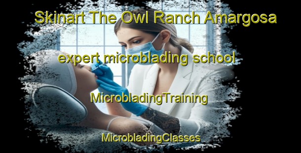 Skinart The Owl Ranch Amargosa expert microblading school | #MicrobladingTraining #MicrobladingClasses #SkinartTraining-United States