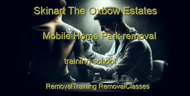 Skinart The Oxbow Estates Mobile Home Park removal training school | #RemovalTraining #RemovalClasses #SkinartTraining-United States