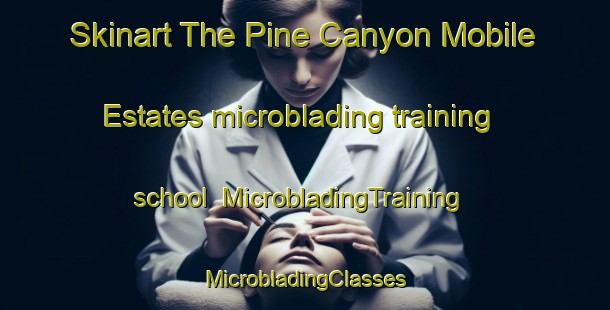 Skinart The Pine Canyon Mobile Estates microblading training school | #MicrobladingTraining #MicrobladingClasses #SkinartTraining-United States