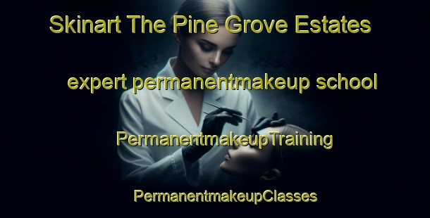 Skinart The Pine Grove Estates expert permanentmakeup school | #PermanentmakeupTraining #PermanentmakeupClasses #SkinartTraining-United States