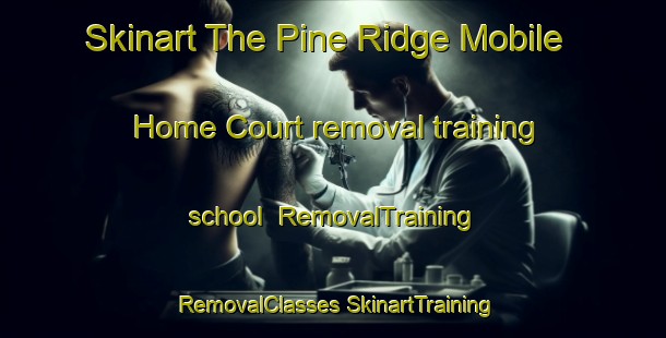 Skinart The Pine Ridge Mobile Home Court removal training school | #RemovalTraining #RemovalClasses #SkinartTraining-United States