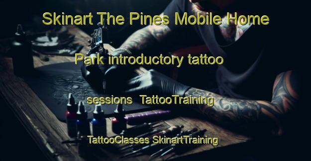 Skinart The Pines Mobile Home Park introductory tattoo sessions | #TattooTraining #TattooClasses #SkinartTraining-United States