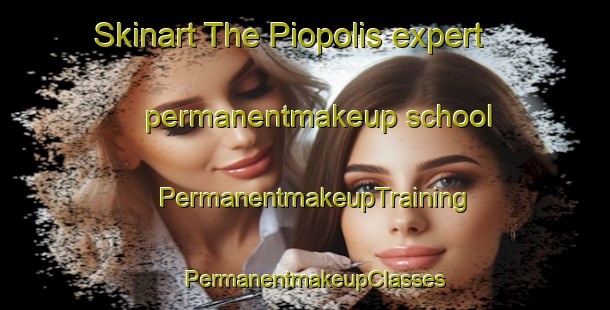 Skinart The Piopolis expert permanentmakeup school | PermanentmakeupTraining | PermanentmakeupClasses | SkinartTraining-United States