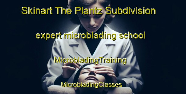 Skinart The Plantz Subdivision expert microblading school | MicrobladingTraining | MicrobladingClasses | SkinartTraining-United States