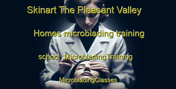 Skinart The Pleasant Valley Homes microblading training school | #MicrobladingTraining #MicrobladingClasses #SkinartTraining-United States