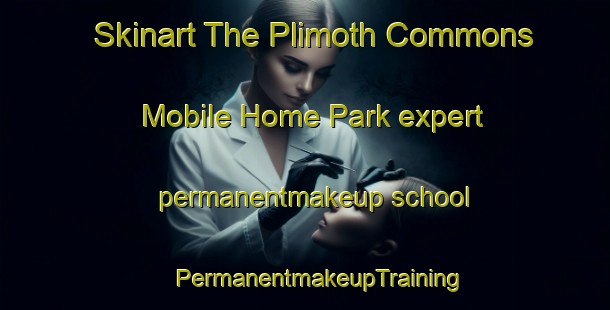 Skinart The Plimoth Commons Mobile Home Park expert permanentmakeup school | #PermanentmakeupTraining #PermanentmakeupClasses #SkinartTraining-United States