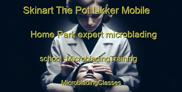 Skinart The Pot Likker Mobile Home Park expert microblading school | #MicrobladingTraining #MicrobladingClasses #SkinartTraining-United States