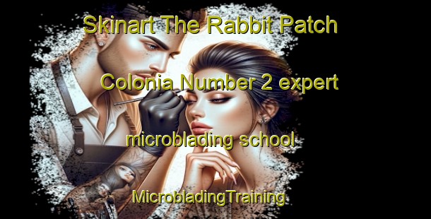 Skinart The Rabbit Patch Colonia Number 2 expert microblading school | MicrobladingTraining | MicrobladingClasses | SkinartTraining-United States