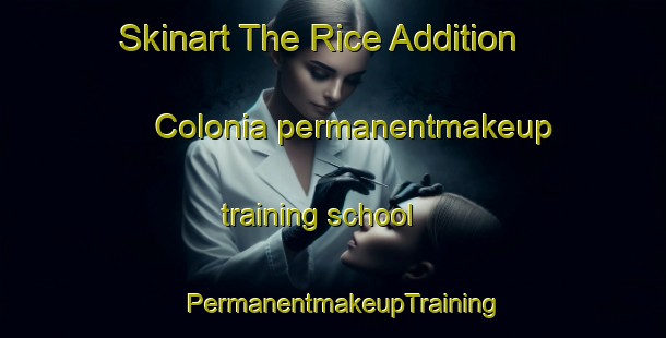 Skinart The Rice Addition Colonia permanentmakeup training school | PermanentmakeupTraining | PermanentmakeupClasses | SkinartTraining-United States