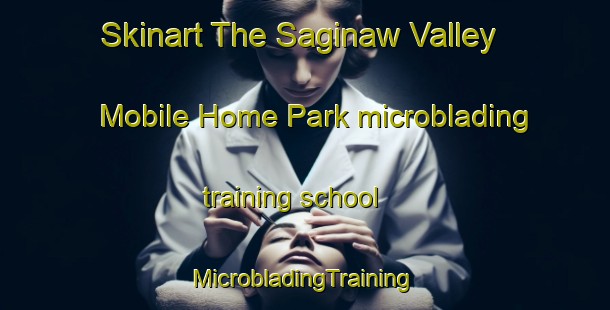 Skinart The Saginaw Valley Mobile Home Park microblading training school | #MicrobladingTraining #MicrobladingClasses #SkinartTraining-United States