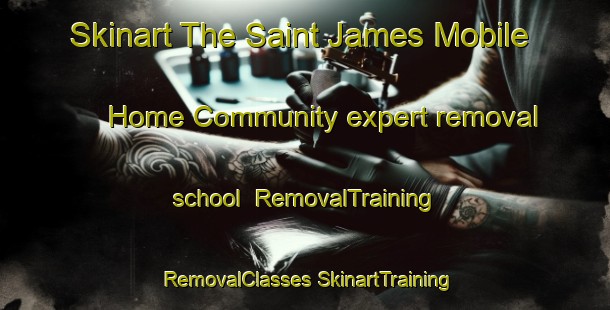 Skinart The Saint James Mobile Home Community expert removal school | #RemovalTraining #RemovalClasses #SkinartTraining-United States