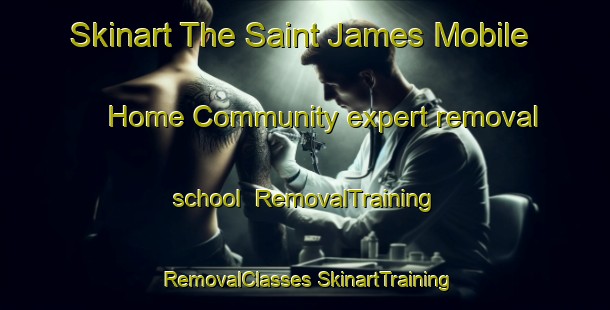 Skinart The Saint James Mobile Home Community expert removal school | #RemovalTraining #RemovalClasses #SkinartTraining-United States