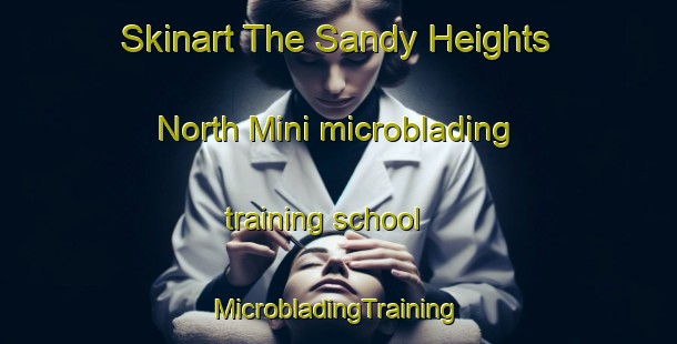 Skinart The Sandy Heights North Mini microblading training school | #MicrobladingTraining #MicrobladingClasses #SkinartTraining-United States