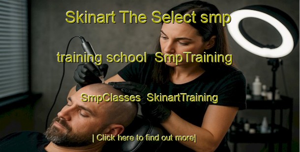 Skinart The Select smp training school | SmpTraining | SmpClasses | SkinartTraining-United States