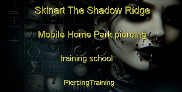 Skinart The Shadow Ridge Mobile Home Park piercing training school | #PiercingTraining #PiercingClasses #SkinartTraining-United States