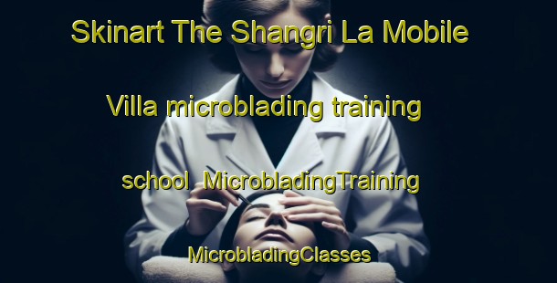 Skinart The Shangri La Mobile Villa microblading training school | #MicrobladingTraining #MicrobladingClasses #SkinartTraining-United States