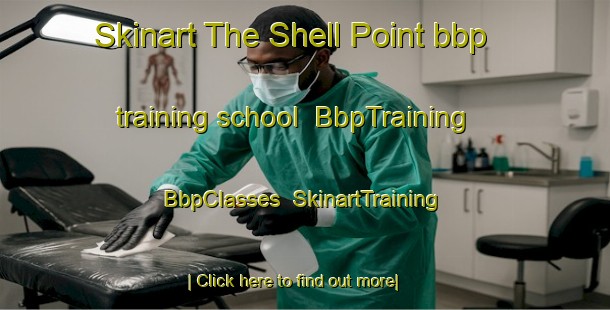 Skinart The Shell Point bbp training school | BbpTraining | BbpClasses | SkinartTraining-United States