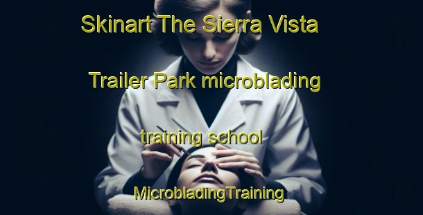 Skinart The Sierra Vista Trailer Park microblading training school | #MicrobladingTraining #MicrobladingClasses #SkinartTraining-United States