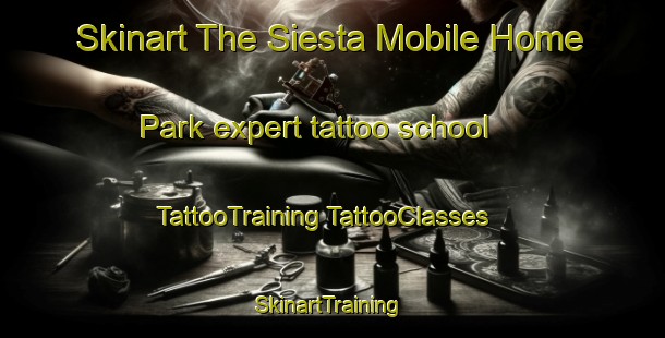 Skinart The Siesta Mobile Home Park expert tattoo school | #TattooTraining #TattooClasses #SkinartTraining-United States