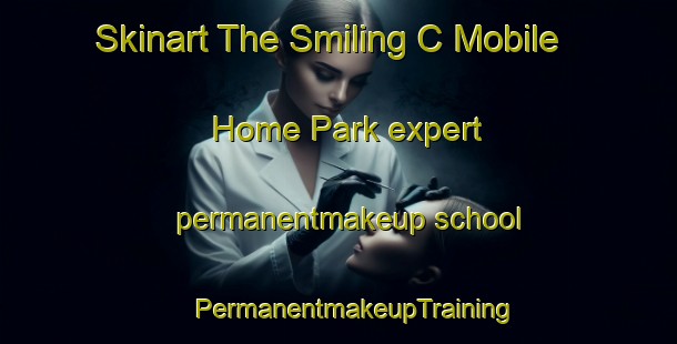 Skinart The Smiling C Mobile Home Park expert permanentmakeup school | #PermanentmakeupTraining #PermanentmakeupClasses #SkinartTraining-United States