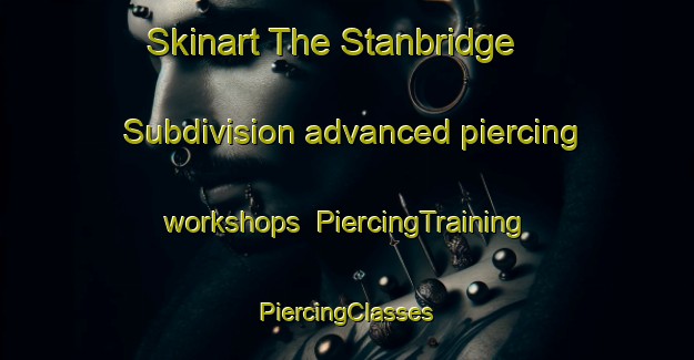 Skinart The Stanbridge  Subdivision advanced piercing workshops | #PiercingTraining #PiercingClasses #SkinartTraining-United States