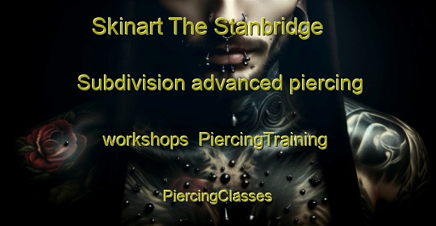 Skinart The Stanbridge  Subdivision advanced piercing workshops | #PiercingTraining #PiercingClasses #SkinartTraining-United States