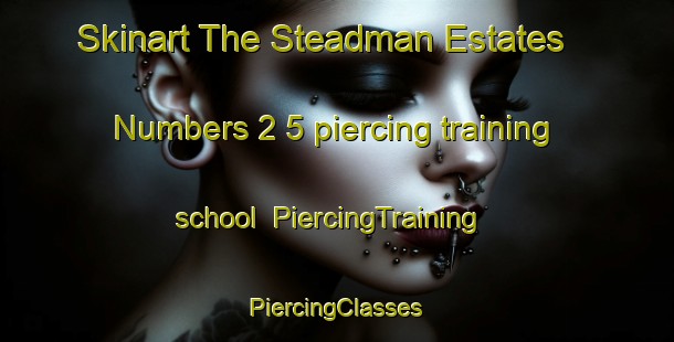 Skinart The Steadman Estates   Numbers 2 5 piercing training school | #PiercingTraining #PiercingClasses #SkinartTraining-United States