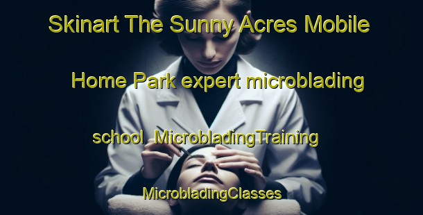 Skinart The Sunny Acres Mobile Home Park expert microblading school | #MicrobladingTraining #MicrobladingClasses #SkinartTraining-United States