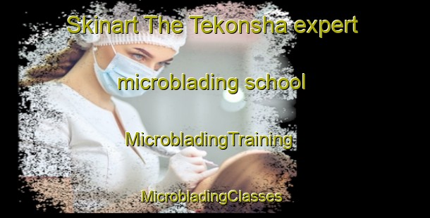 Skinart The Tekonsha expert microblading school | MicrobladingTraining | MicrobladingClasses | SkinartTraining-United States