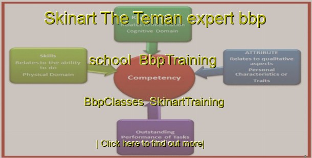 Skinart The Teman expert bbp school | BbpTraining | BbpClasses | SkinartTraining-United States
