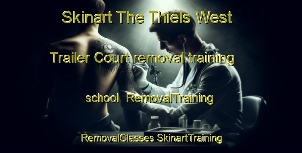 Skinart The Thiels West Trailer Court removal training school | #RemovalTraining #RemovalClasses #SkinartTraining-United States