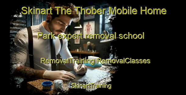 Skinart The Thober Mobile Home Park expert removal school | #RemovalTraining #RemovalClasses #SkinartTraining-United States