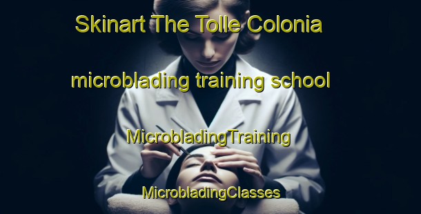 Skinart The Tolle Colonia microblading training school | #MicrobladingTraining #MicrobladingClasses #SkinartTraining-United States