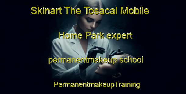 Skinart The Tosacal Mobile Home Park expert permanentmakeup school | #PermanentmakeupTraining #PermanentmakeupClasses #SkinartTraining-United States