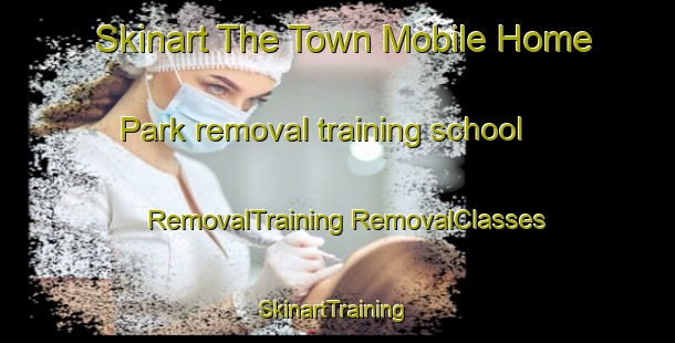 Skinart The Town Mobile Home Park removal training school | #RemovalTraining #RemovalClasses #SkinartTraining-United States