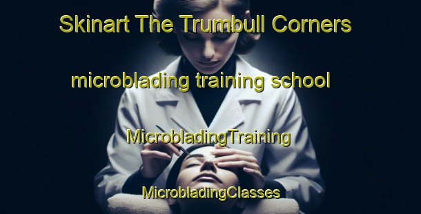 Skinart The Trumbull Corners microblading training school | #MicrobladingTraining #MicrobladingClasses #SkinartTraining-United States