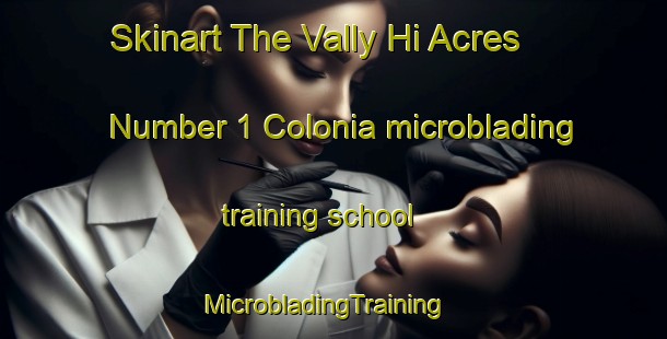 Skinart The Vally Hi Acres Number 1 Colonia microblading training school | MicrobladingTraining | MicrobladingClasses | SkinartTraining-United States