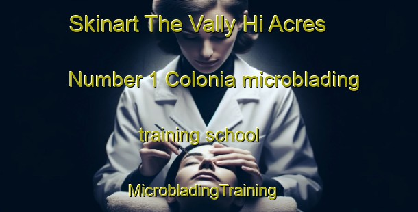 Skinart The Vally Hi Acres Number 1 Colonia microblading training school | MicrobladingTraining | MicrobladingClasses | SkinartTraining-United States