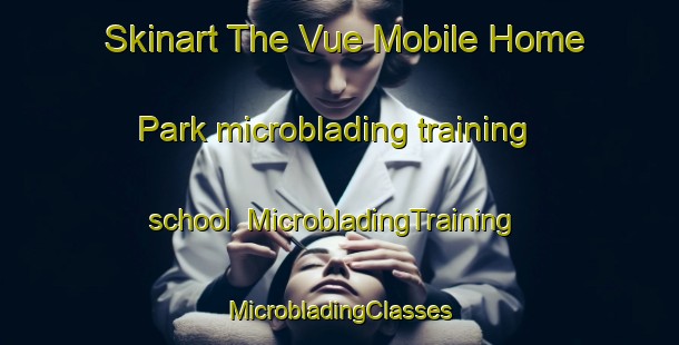 Skinart The Vue Mobile Home Park microblading training school | #MicrobladingTraining #MicrobladingClasses #SkinartTraining-United States