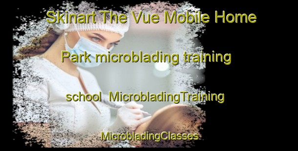 Skinart The Vue Mobile Home Park microblading training school | #MicrobladingTraining #MicrobladingClasses #SkinartTraining-United States