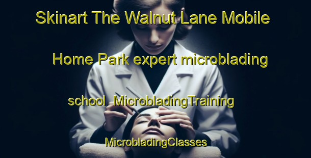 Skinart The Walnut Lane Mobile Home Park expert microblading school | #MicrobladingTraining #MicrobladingClasses #SkinartTraining-United States