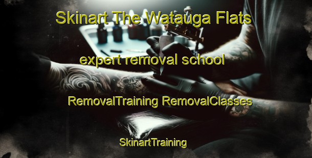 Skinart The Watauga Flats expert removal school | #RemovalTraining #RemovalClasses #SkinartTraining-United States