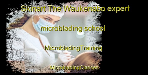 Skinart The Waukenabo expert microblading school | #MicrobladingTraining #MicrobladingClasses #SkinartTraining-United States