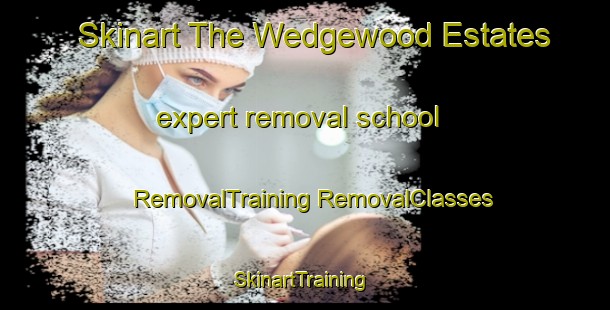 Skinart The Wedgewood Estates expert removal school | #RemovalTraining #RemovalClasses #SkinartTraining-United States